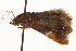  ( - gvc7257)  @14 [ ] CreativeCommons - Attribution (2010) Unspecified Centre for Biodiversity Genomics