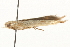  ( - gvc7270)  @12 [ ] CreativeCommons - Attribution (2010) Unspecified Centre for Biodiversity Genomics