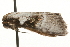  ( - gvc7546)  @12 [ ] CreativeCommons - Attribution (2010) Unspecified Centre for Biodiversity Genomics