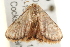  ( - gvc7749)  @14 [ ] CreativeCommons - Attribution (2010) Unspecified Centre for Biodiversity Genomics