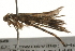  ( - gvc7758)  @12 [ ] CreativeCommons - Attribution (2010) Unspecified Centre for Biodiversity Genomics