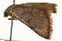  ( - gvc7777)  @13 [ ] CreativeCommons - Attribution (2010) Unspecified Centre for Biodiversity Genomics