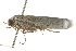  ( - gvc8076)  @12 [ ] CreativeCommons - Attribution (2010) Unspecified Centre for Biodiversity Genomics