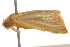  ( - gvc6833)  @12 [ ] CreativeCommons - Attribution (2010) Unspecified Centre for Biodiversity Genomics