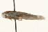  ( - gvc7639)  @12 [ ] CreativeCommons - Attribution (2010) Unspecified Centre for Biodiversity Genomics