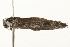  ( - gvc8104)  @13 [ ] CreativeCommons - Attribution (2010) Unspecified Centre for Biodiversity Genomics