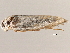  ( - 2006-LOQT-576)  @12 [ ] CreativeCommons - Attribution (2010) CBG Photography Group Centre for Biodiversity Genomics