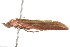 ( - gvc6880)  @13 [ ] CreativeCommons - Attribution (2010) Unspecified Centre for Biodiversity Genomics