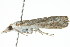  ( - gvc7806)  @13 [ ] CreativeCommons - Attribution (2010) Unspecified Centre for Biodiversity Genomics