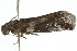  ( - gvc7914)  @12 [ ] CreativeCommons - Attribution (2010) Unspecified Centre for Biodiversity Genomics