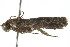  ( - gvc8122)  @12 [ ] CreativeCommons - Attribution (2010) Unspecified Centre for Biodiversity Genomics