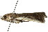  ( - gvc8244)  @13 [ ] CreativeCommons - Attribution (2010) Unspecified Centre for Biodiversity Genomics