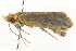  ( - gvc7782)  @12 [ ] CreativeCommons - Attribution (2010) Unspecified Centre for Biodiversity Genomics