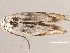  ( - 2006-LOQT-634)  @12 [ ] CreativeCommons - Attribution (2010) CBG Photography Group Centre for Biodiversity Genomics