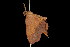  ( - 05-TN-00047)  @13 [ ] CreativeCommons - Attribution (2010) Unspecified Centre for Biodiversity Genomics
