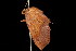  ( - 05-TN-00065)  @13 [ ] CreativeCommons - Attribution (2010) Unspecified Centre for Biodiversity Genomics