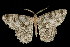  ( - 05-TN-00073)  @13 [ ] CreativeCommons - Attribution (2010) Unspecified Centre for Biodiversity Genomics