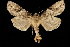  ( - 05-TN-00150)  @14 [ ] CreativeCommons - Attribution (2010) Unspecified Centre for Biodiversity Genomics