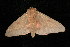  ( - 05-TN-00204)  @13 [ ] CreativeCommons - Attribution (2010) Unspecified Centre for Biodiversity Genomics