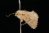  ( - 05-TN-00210)  @12 [ ] CreativeCommons - Attribution (2010) Unspecified Centre for Biodiversity Genomics