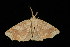  ( - 05-TN-00212)  @12 [ ] CreativeCommons - Attribution (2010) Unspecified Centre for Biodiversity Genomics