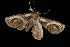  ( - 05-TN-00250)  @13 [ ] CreativeCommons - Attribution (2010) Unspecified Centre for Biodiversity Genomics