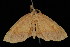 ( - 05-TN-00295)  @13 [ ] CreativeCommons - Attribution (2010) Unspecified Centre for Biodiversity Genomics
