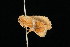  ( - 05-TN-00336)  @13 [ ] CreativeCommons - Attribution (2010) Unspecified Centre for Biodiversity Genomics