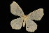  ( - 05-TN-00389)  @13 [ ] CreativeCommons - Attribution (2010) Unspecified Centre for Biodiversity Genomics