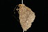  ( - 05-TN-00395)  @12 [ ] CreativeCommons - Attribution (2010) Unspecified Centre for Biodiversity Genomics
