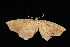  ( - 05-TN-00397)  @13 [ ] CreativeCommons - Attribution (2010) Unspecified Centre for Biodiversity Genomics