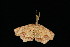  ( - 05-TN-00405)  @13 [ ] CreativeCommons - Attribution (2010) Unspecified Centre for Biodiversity Genomics