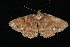  ( - 05-TN-00455)  @13 [ ] CreativeCommons - Attribution (2010) Unspecified Centre for Biodiversity Genomics
