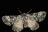  ( - 05-TN-00489)  @13 [ ] CreativeCommons - Attribution (2010) Unspecified Centre for Biodiversity Genomics