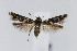  ( - CNCLEP00005964)  @11 [ ] CreativeCommons - Attribution Non-Commercial Share-Alike (2007) Unspecified Canadian National Collection