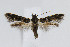  ( - CNCLEP00005965)  @11 [ ] CreativeCommons - Attribution Non-Commercial Share-Alike (2007) Unspecified Canadian National Collection