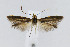  ( - CNCLEP00005972)  @11 [ ] CreativeCommons - Attribution Non-Commercial Share-Alike (2007) Unspecified Canadian National Collection