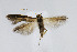  ( - CNCLEP00005975)  @11 [ ] CreativeCommons - Attribution Non-Commercial Share-Alike (2007) Unspecified Canadian National Collection