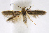  ( - CNCLEP00009470)  @11 [ ] CreativeCommons - Attribution Non-Commercial Share-Alike (2007) Unspecified Canadian National Collection