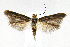  ( - CNCLEP00014080)  @13 [ ] CreativeCommons - Attribution Non-Commercial Share-Alike (2007) Unspecified Canadian National Collection