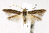  ( - CNCLEP00014081)  @13 [ ] CreativeCommons - Attribution Non-Commercial Share-Alike (2007) Unspecified Canadian National Collection