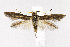  ( - CNCLEP00014082)  @11 [ ] CreativeCommons - Attribution Non-Commercial Share-Alike (2007) Unspecified Canadian National Collection