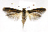  ( - CNCLEP00014089)  @11 [ ] CreativeCommons - Attribution Non-Commercial Share-Alike (2007) Unspecified Canadian National Collection