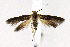  ( - CNCLEP00014101)  @13 [ ] CreativeCommons - Attribution Non-Commercial Share-Alike (2007) Unspecified Canadian National Collection