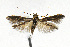  ( - CNCLEP00014103)  @13 [ ] CreativeCommons - Attribution Non-Commercial Share-Alike (2007) Unspecified Canadian National Collection