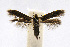  ( - CNCLEP00060359)  @11 [ ] CreativeCommons - Attribution Non-Commercial Share-Alike (2007) Unspecified Canadian National Collection