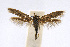  ( - CNCLEP00060360)  @14 [ ] CreativeCommons - Attribution Non-Commercial Share-Alike (2007) Unspecified Canadian National Collection