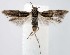  ( - jflandry1368)  @12 [ ] Copyright (2007) Unspecified Canadian National Collection