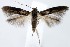  ( - jflandry1411)  @13 [ ] Copyright (2007) Unspecified Canadian National Collection