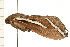  ( - 08-TASE-0148)  @13 [ ] CreativeCommons - Attribution (2009) Unspecified Centre for Biodiversity Genomics